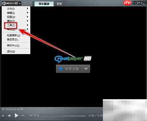 RealPlayer人声增强技巧