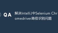 Solve the problem of Selenium Chromedriver path recognition in IntelliJ