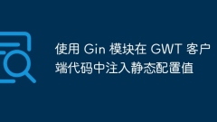 Inject static configuration values ??into GWT client code using the Gin module