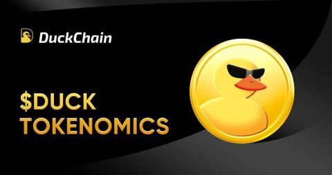 What is DuckChain (DUCK)? DUCK Price Forecast 2025-2030