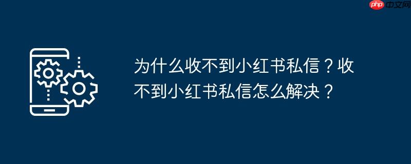 手机收不到小红书消息提醒 手机收不到小红书验证码