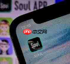 soul打电话对方忙是怎么回事