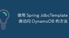 Methods to access DynamoDB using the Spring JdbcTemplate class