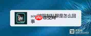 Soul账号异常被限制登录怎么办