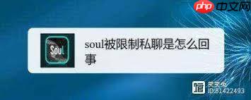 Soul账号异常被限制登录怎么办