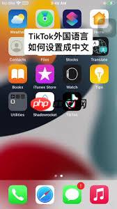 TikTok界面如何调回原语言设置