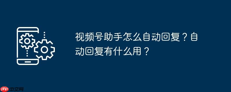 视频号助手怎么自动回复？自动回复有什么用？