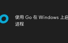 使用 Go 在 Windows 上启动进程