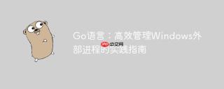 Go语言：高效管理Windows外部进程的实践指南