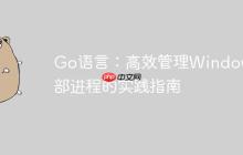 Go语言:高效管理Windows外部进程的实践指南