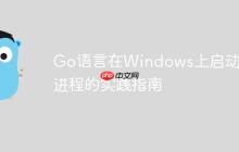 Go语言在Windows上启动外部进程的实践指南