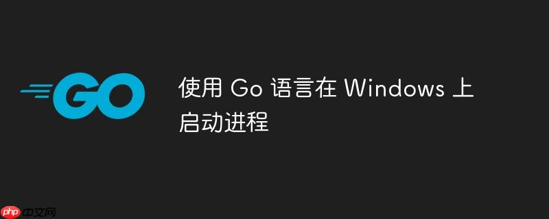 使用 Go 语言在 Windows 上启动进程-小浪学习网