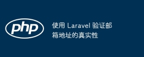 使用 Laravel 驗證郵箱地址的真實性