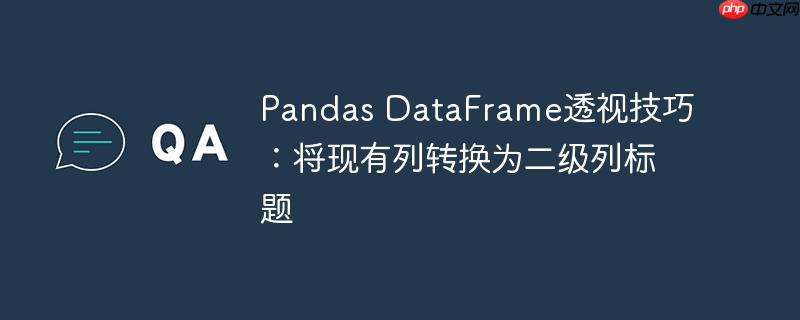 Pandas DataFrame透视技巧：将现有列转换为二级列标题-小浪学习网