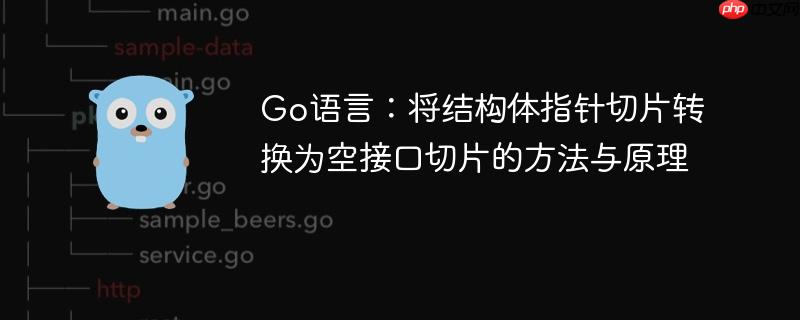 Go语言：将结构体指针切片转换为空接口切片的方法与原理-小浪学习网