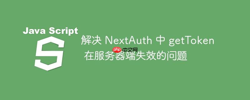 解决 nextauth 中 gettoken 在服务器端失效的问题