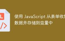 使用 JavaScript 从表单收集数据并存储到变量中