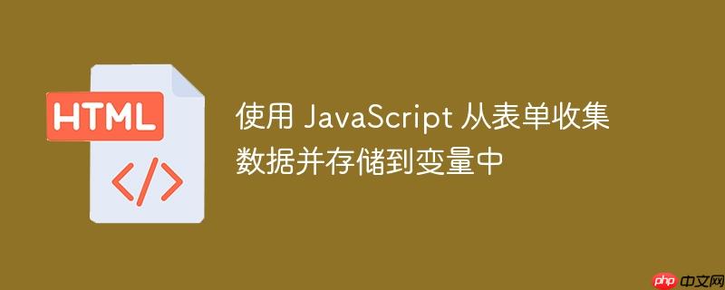 使用 JavaScript 从表单收集数据并存储到变量中-小浪学习网