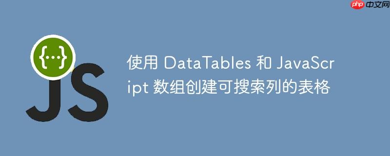 使用 DataTables 和 JavaScript 数组创建可搜索列的表格-小浪学习网