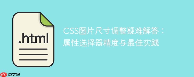 CSS图片尺寸调整疑难解答：属性选择器精度与最佳实践
