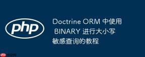 Doctrine ORM 中使用 BINARY 进行大小写敏感查询的教程
