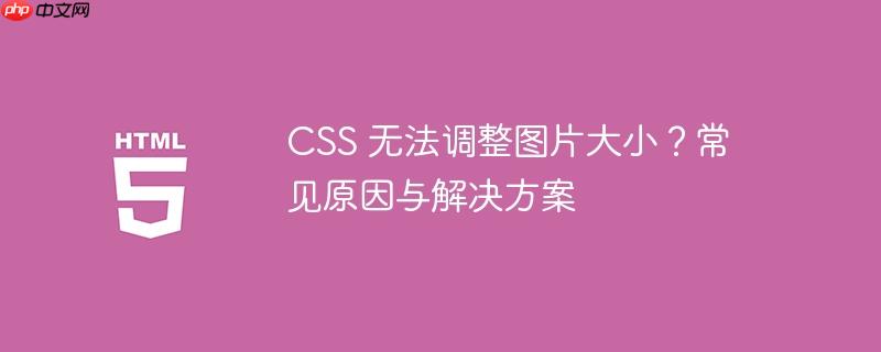CSS 无法调整图片大小？常见原因与解决方案