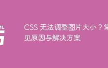 CSS 无法调整图片大小？常见原因与解决方案