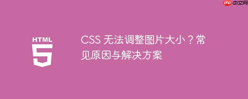 CSS 无法调整图片大小？常见原因与解决方案-小浪学习网