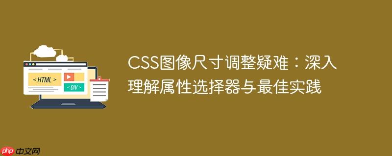 CSS图像尺寸调整疑难：深入理解属性选择器与最佳实践
