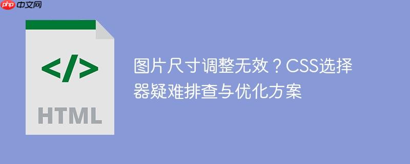 图片尺寸调整无效？CSS选择器疑难排查与优化方案