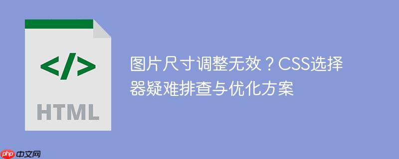 图片尺寸调整无效？CSS选择器疑难排查与优化方案-小浪学习网