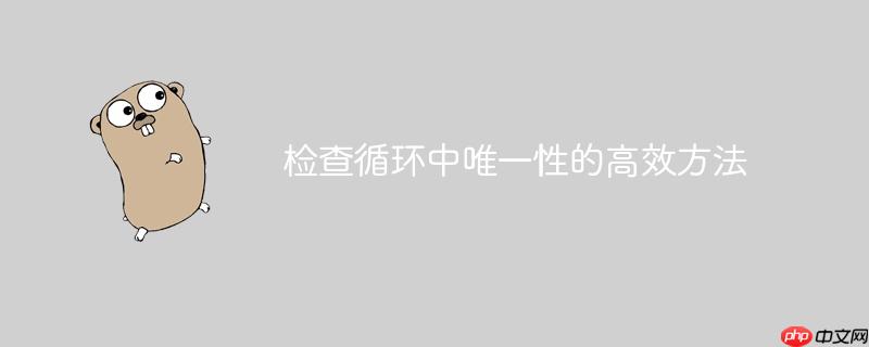 检查循环中唯一性的高效方法