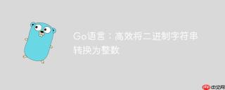 Go语言：高效将二进制字符串转换为整数
