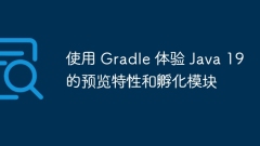 Erleben Sie Java 19 Vorschau -Funktionen und Inkubationsmodule mit Gradle