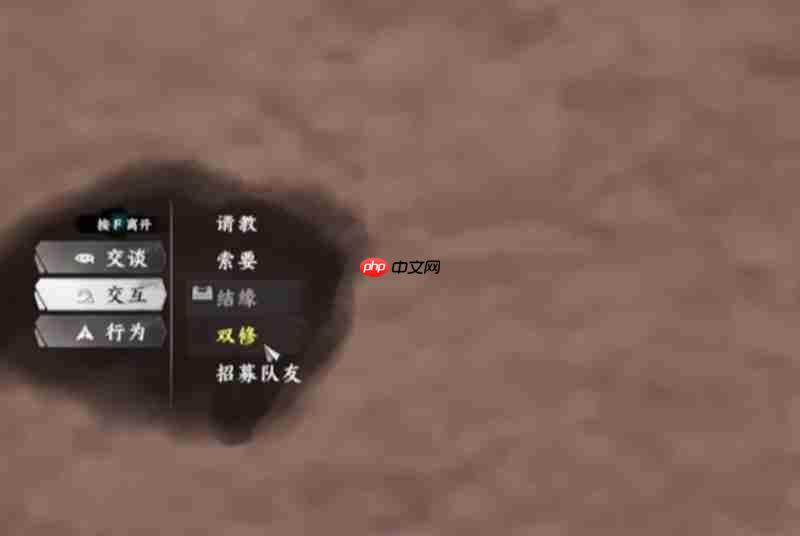 下一站江湖2双修府怎么玩 双修府玩法详细攻略