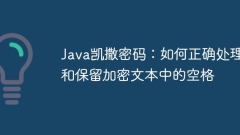 Java Caesar Passwort: So behandeln und behalten Sie R?ume im verschlüsselten Text ordnungsgem??