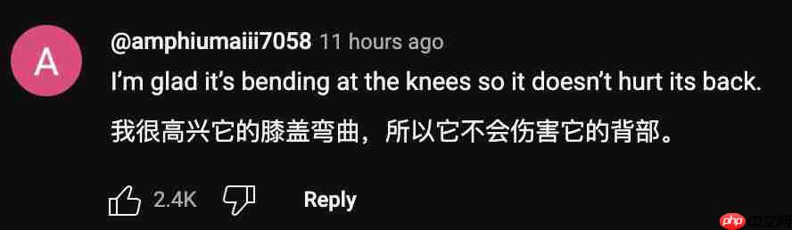 波士顿动力机器人终于有脑子了!人类故意使绊子也不怕