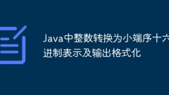 Umwandeln Sie Ganzzahlen in die hexadezimale Repr?sentation und die Ausgangsformatierung von Kleinanlagen in Java