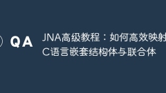 JNA Advanced Tutorial: Wie Sie effizient C -Sprache verschachtelte Strukturen und Gewerkschaften zuordnen