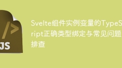 TypeScript correct type binding and FAQ for Svelte component instance variables