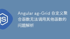 Angular ag-Grid Custom aggregation function cannot call other functions