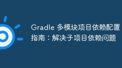 Gradle Multi-Modul-Projektabh?ngigkeitskonfigurationshandbuch: L?sen von Problemen mit Subproject-Abh?ngigkeit