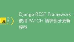 Django REST Framework: Use PATCH to request partial update of the model