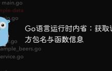 Go语言运行时内省:获取调用方包名与函数信息