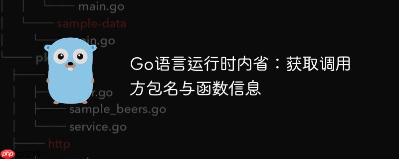 Go语言运行时内省：获取调用方包名与函数信息
