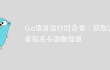 Go语言运行时自省:获取调用者包名与函数信息