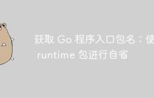 获取 Go 程序入口包名:使用 runtime 包进行自省
