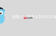 获取 Go 程序主包名的方法