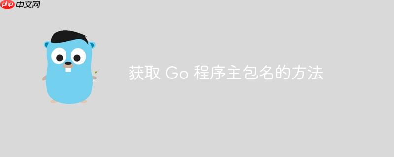 获取 Go 程序主包名的方法-小浪学习网