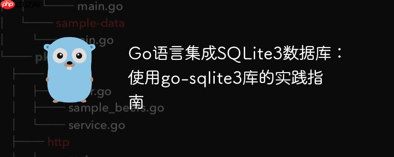 Go语言集成SQLite3数据库:使用go-sqlite3库的实践指南